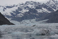 IMG_2273
