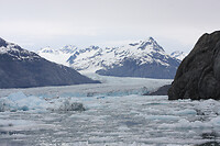 IMG_2275