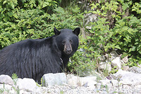 IMG_2561