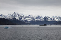 IMG_3184