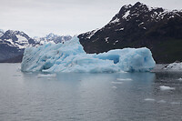 IMG_3190