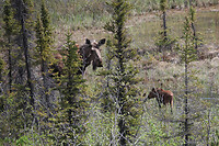 IMG_3245