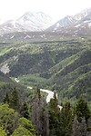 IMG_3306