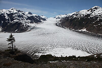 IMG_3556