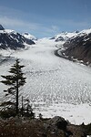 IMG_3561