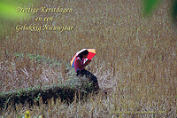 2006 Laos