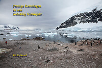 2010 baai in Antartica