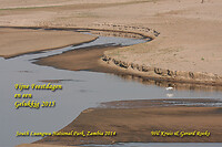 2014 Zambia