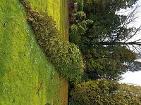 20180119_112744