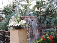 DSCN5170
