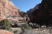 IMG_3864