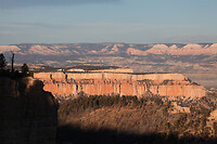 IMG_3991