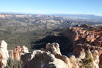 IMG_4019
