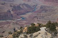 IMG_4557