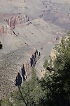 IMG_4596