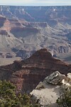 IMG_4608