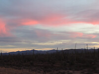 DSCN5413