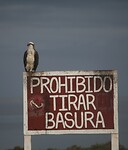 IMG_4773