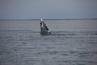 IMG_5095