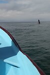 IMG_5247