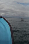 IMG_5311