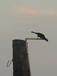 DSCN5775