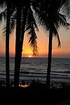 IMG_5581