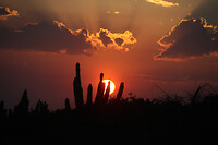 IMG_6058