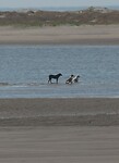 IMG_6104