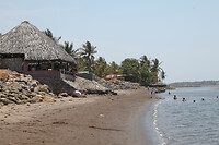 IMG_6115