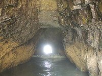 DSCN5850