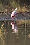 IMG_3317