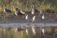 IMG_3318
