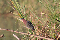 IMG_3336