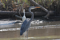 IMG_3426