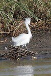 IMG_3436