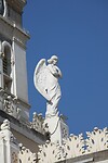 IMG_6295