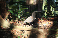 IMG_6353
