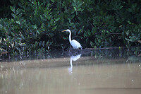 IMG_6362
