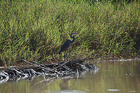 IMG_6363