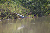 IMG_6364