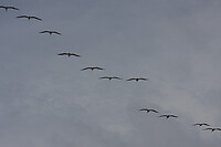 IMG_3480