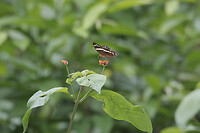IMG_3549