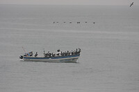 IMG_3590