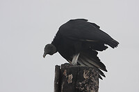 IMG_3625