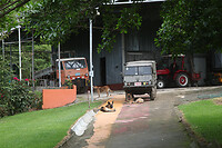 IMG_6643