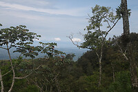 IMG_6653