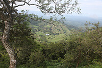 IMG_6655