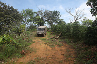 IMG_6660