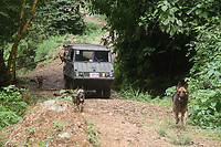 IMG_6697